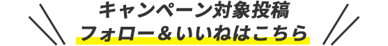 キャンペーン対象投稿 フォローアンドいいねはこちら