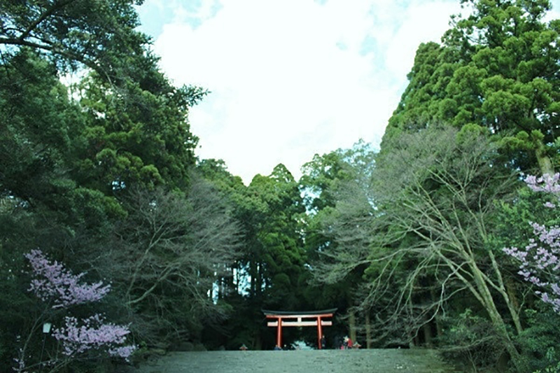 My Best 九州 コレクション 鹿児島県 ソラシドエア My Best 九州 コレクション 鹿児島県 ソラシドエア