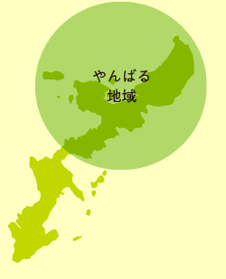 やんばる地域