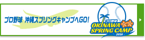 プロ野球沖縄スプリングキャンプへGO！