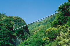 宮崎県綾町 写真1