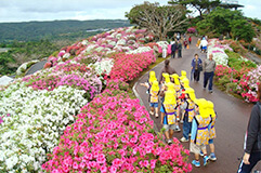 沖縄県やんばる地域 写真1