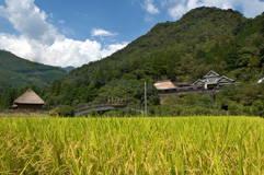 宮崎県西米良村 写真1