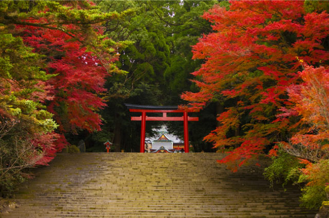 Kirishima Shrine