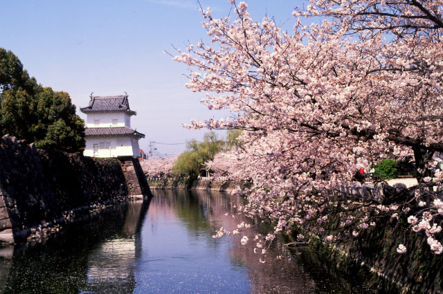 Oita Castle Ruins Park