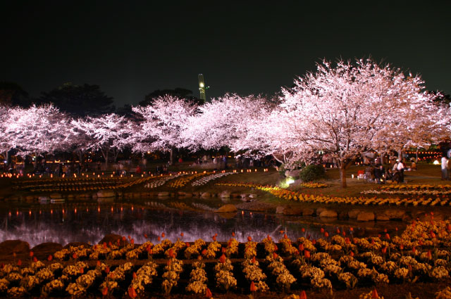 Beppu Park