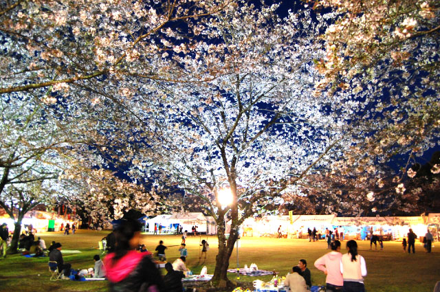 Saitobaru Burial Mounds