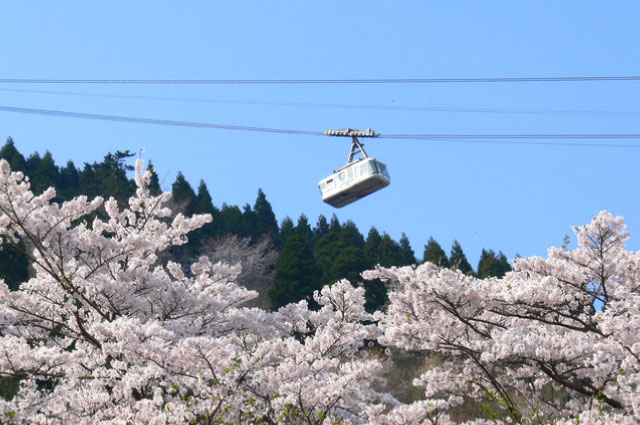 Beppu Ropeway