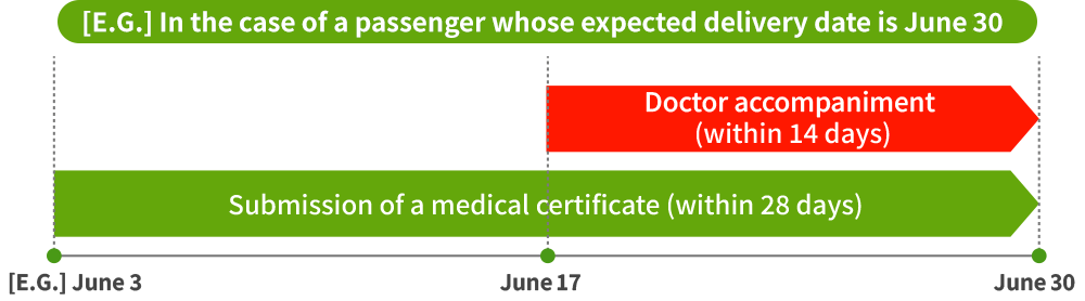Conditions for passengers who are pregnant image