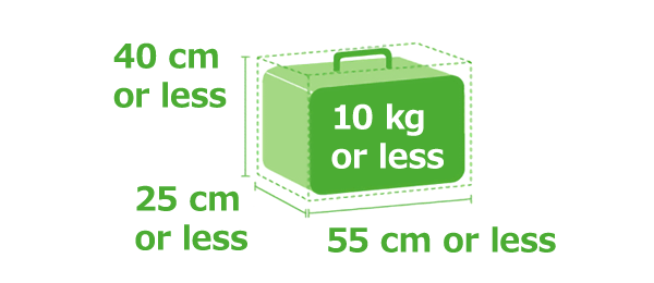 Baggage allowance, Information