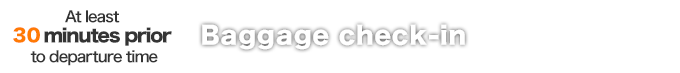 Baggage check-in, passing through the security checkpoint at least 30 minutes prior to departure time.