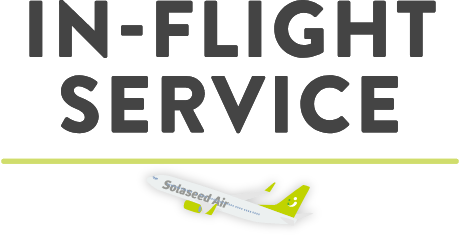 IN-FLIGHT SERVICE