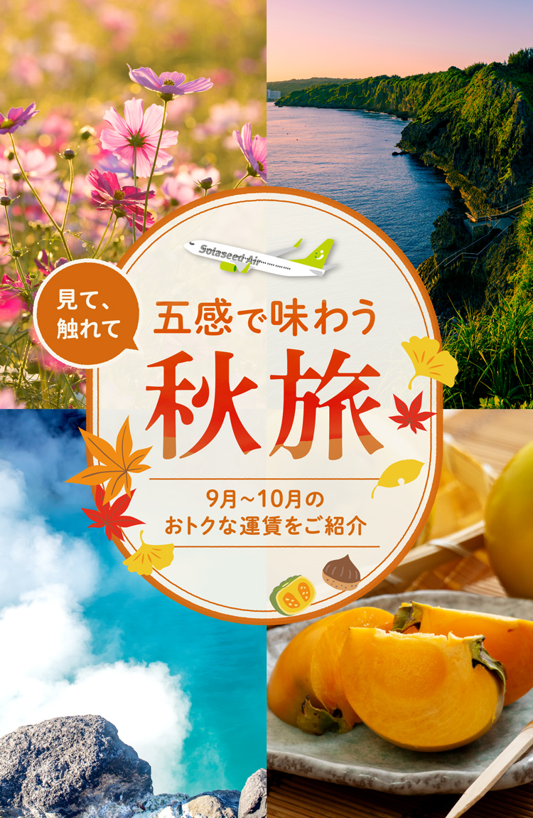 今年の秋はソラシドエアで絶景と癒しの旅へ！