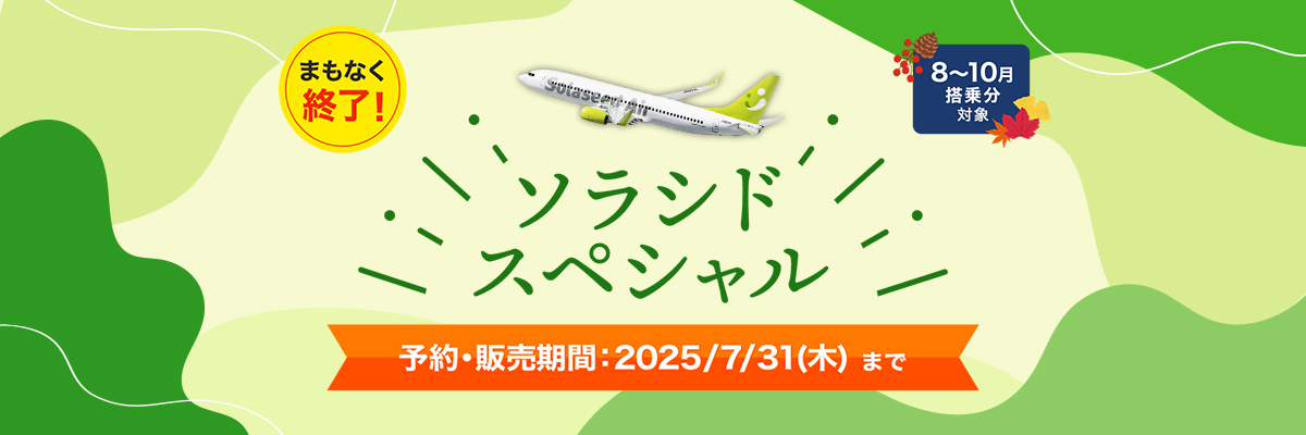 ソラシドエア solaseedair 就航記念 ノベルティ グッズ ソラシドエア solaseedair 就航記念 ノベルティ グッズ（株式