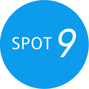spot09