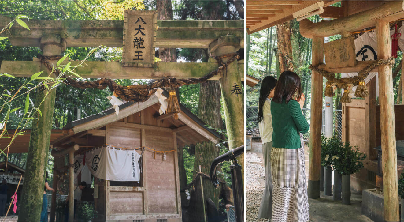 神龍八大龍王神社