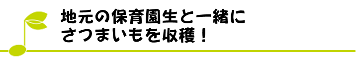 地元の保育園生と一緒にさつまいもを収穫！