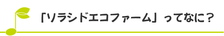 「ソラシドエコファーム」ってなに？