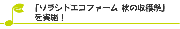 「ソラシドエコファーム　秋の収穫祭」を実施！