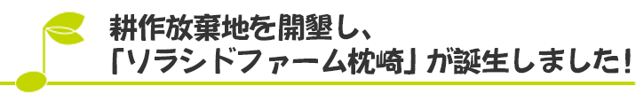 耕作放棄地を開墾し、「ソラシドファーム枕崎」が誕生しました！