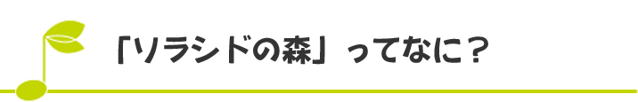 「ソラシドの森」ってなに？