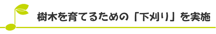 樹木を育てるための「下刈り」を実施