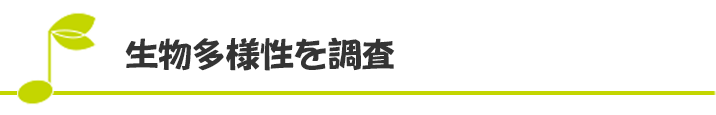 生物多様性を調査