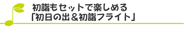 初詣もセットで楽しめる「初日の出&初詣フライト」