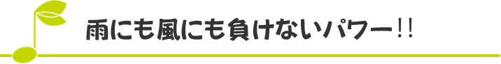 雨にも風にも負けないパワー‼