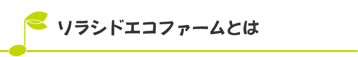 ソラシドエコファームとは