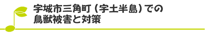 宇城市三角町（宇土半島）での鳥獣被害と対策