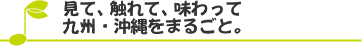 見て、触れて、味わって 九州・沖縄をまるごと。