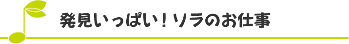 発見いっぱい！ソラのお仕事