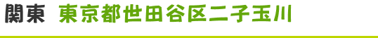 東京都世田谷区二子玉川