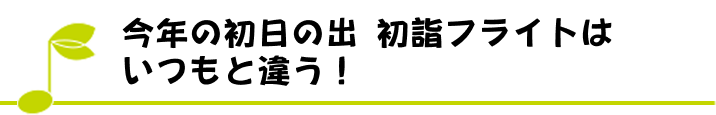 今年の初日の出 初詣フライトはいつもと違う！