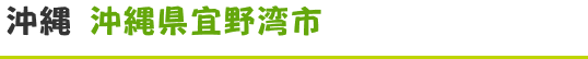 沖縄 沖縄県宜野湾市