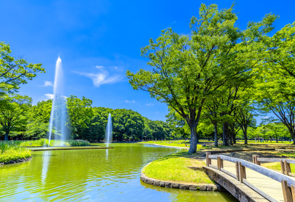 代々木公園