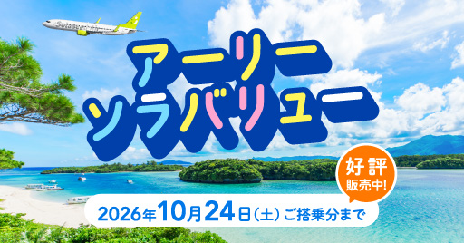 アーリーソラバリュー