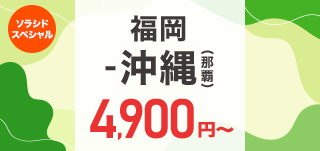 ソラスペNTX52_小バナー（路線）