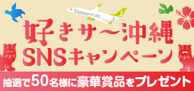 航空券 予約 空席照会 運賃案内 ソラシドエア