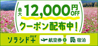 2025年8月DPクーポン（配布中）_小バナー
