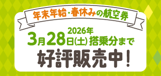 25WLP（好評販売中）_小バナー
