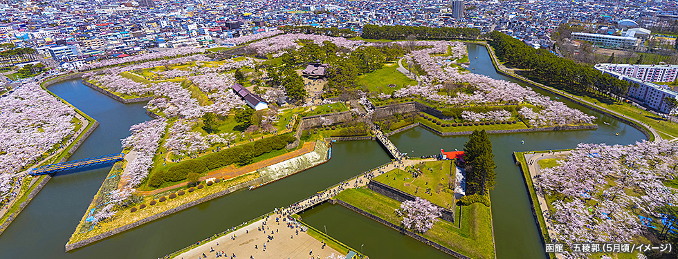 函館　五稜郭（5月頃/イメージ）