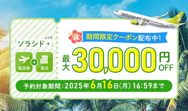 期間限定クーポン配布中！