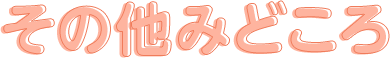 その他みどころ
