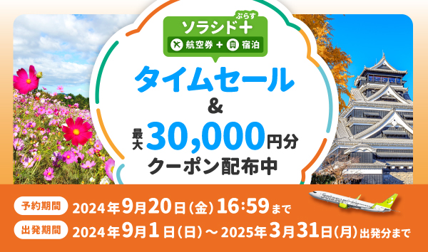 10月31日（金）まで　5000円　タイムセール JAL、「国内航空券タイムセール」10月7日0時から開催！12月～来年1月